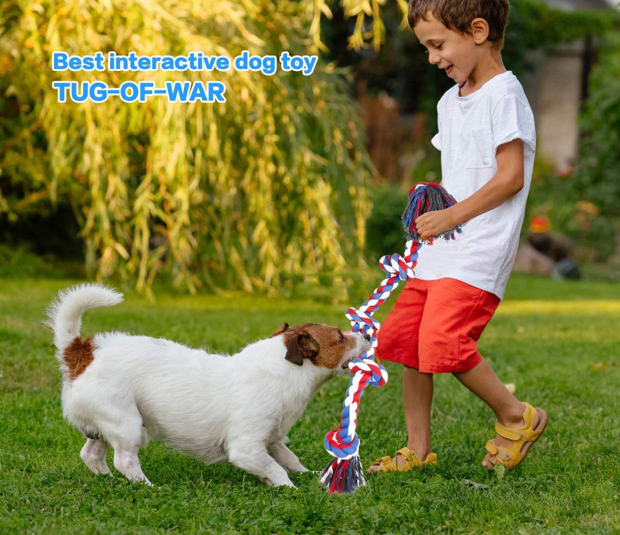Heavy Duty Rope Tug Toy for Dogs – Durable Chew & Training Toy