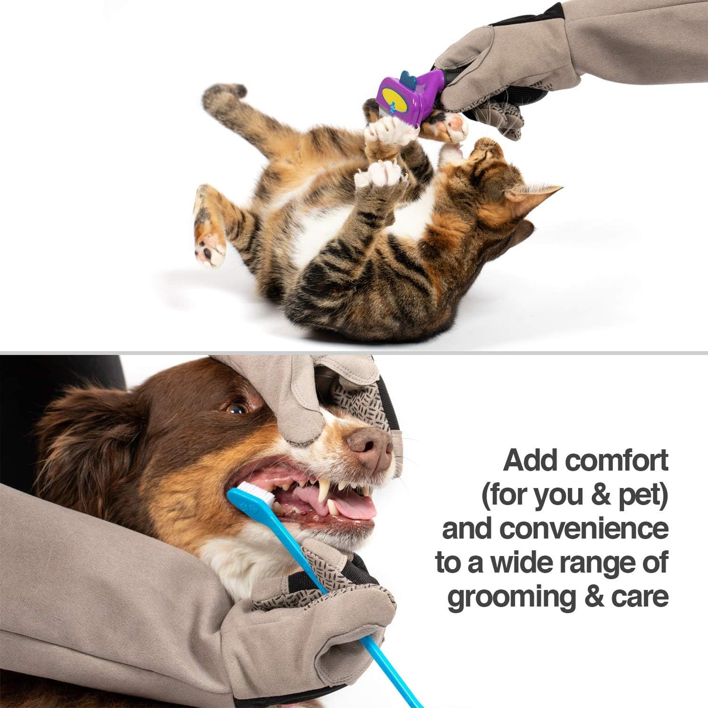 Protective Pet Grooming Glove for Dogs & Cats