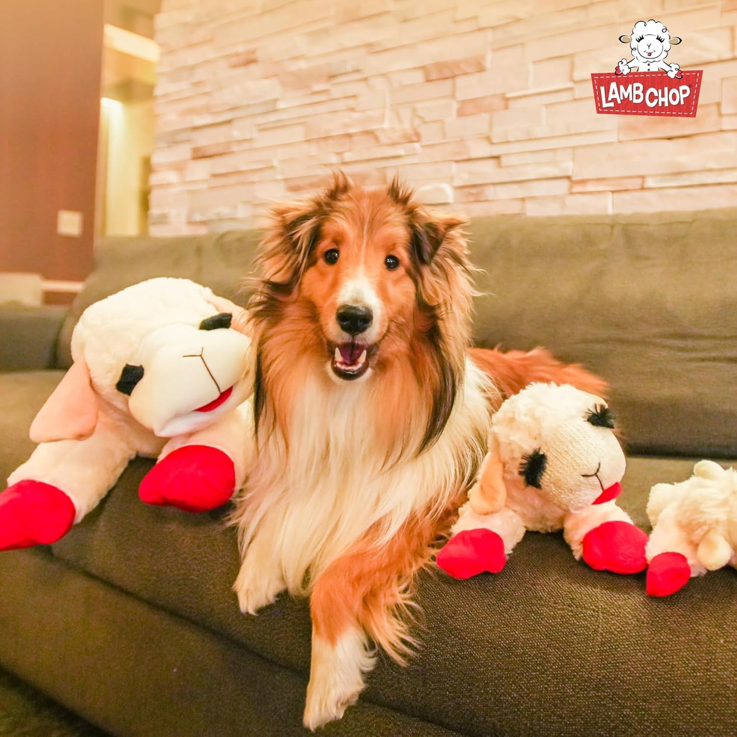 Soft Plush Dog Toy – Lamb Chop Squeaky Toy