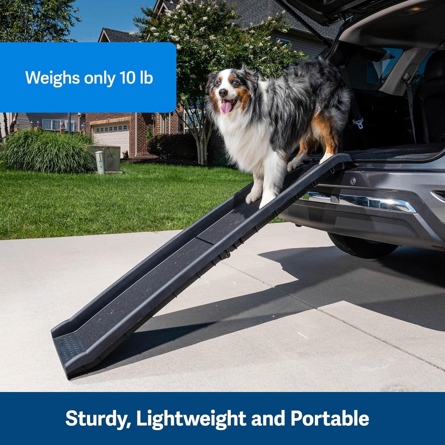 Foldable Dog Car Ramp for SUVs & Trucks – Portable Pet Travel Ramp