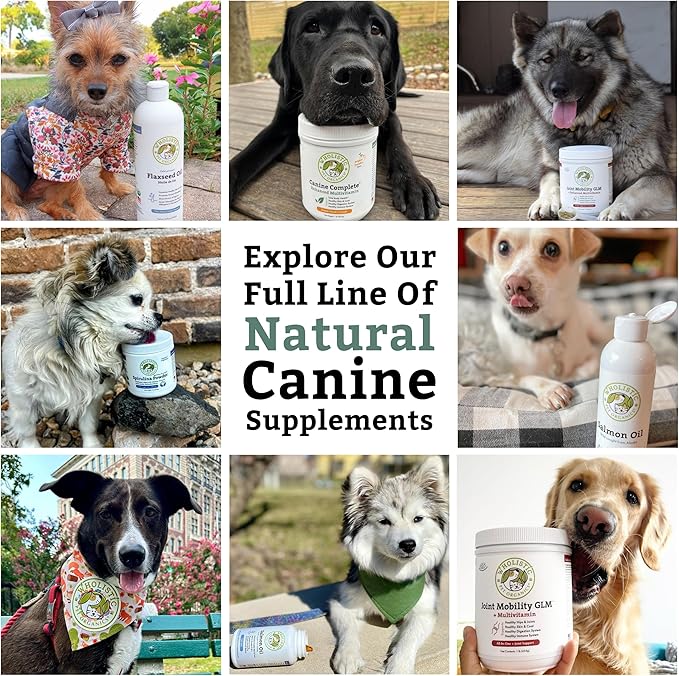 Wholistic Pet Organics Canine Complete - Dog Multivitamin Powder - 1 Lb - Daily Dog Vitamins and Supplements for Homemade Food - Immune System, Skin, Coat & Overall Health - All Breeds - 45 Scoops