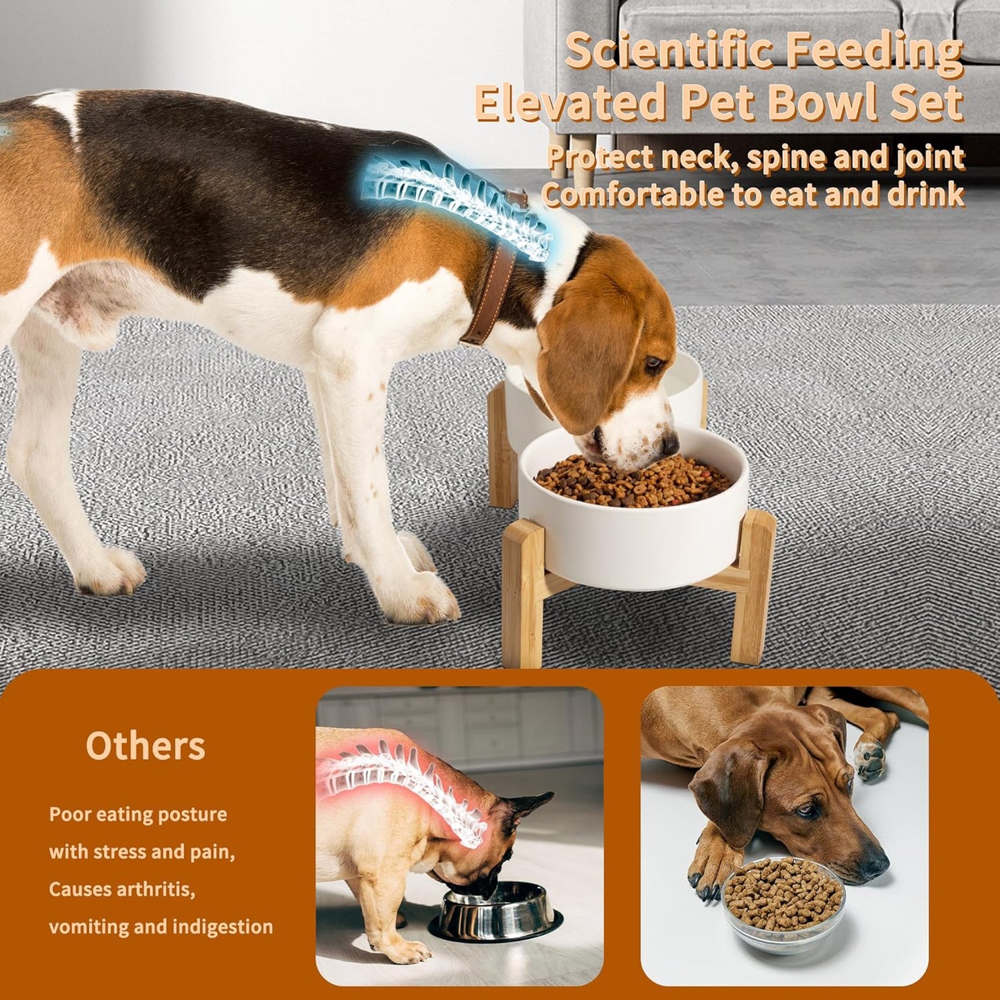 Elevated Bamboo Dog Bowl Stand – Ceramic Bowls & Non-Slip Design