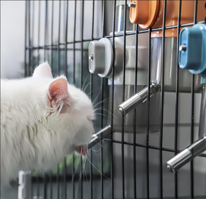 Hanging Pet Water Bottle Dispenser