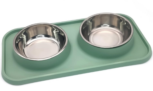 Stainless Steel Double Pet Bowl Set