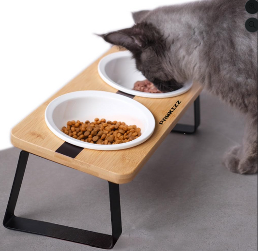 Elevated Ceramic Pet Bowl Stand – Tilted Feeding Station for Cats & Small Dogs