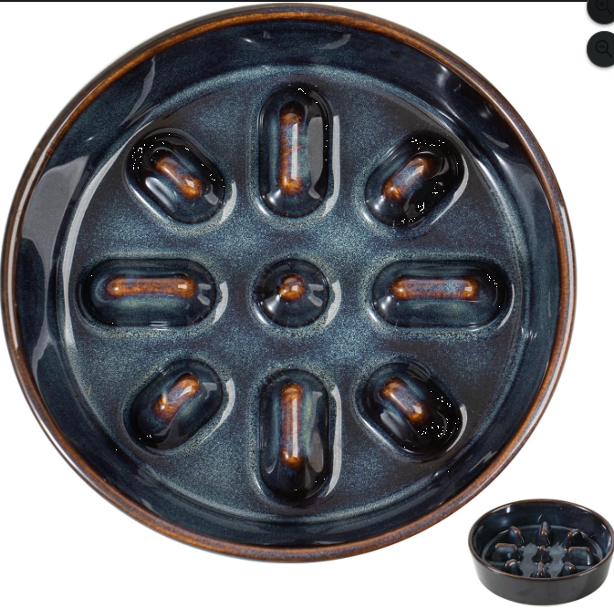 Ceramic Slow Feeder Bowl for Dogs & Cats