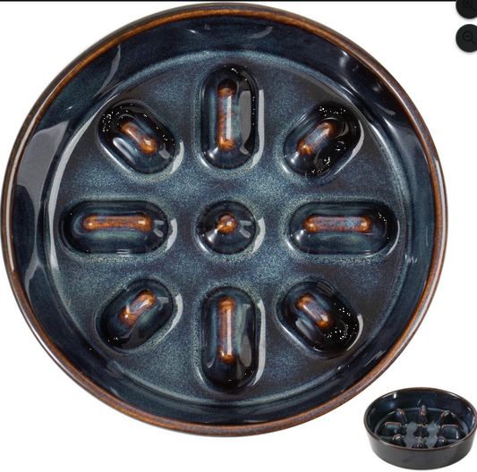 Ceramic Slow Feeder Bowl for Dogs & Cats
