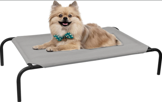 Elevated Mesh Dog Bed for Indoor & Outdoor Use