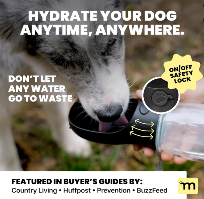 Portable Dog Water Bottle for Travel