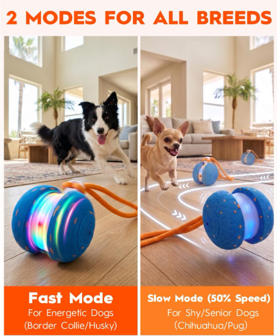 Interactive Rolling Dog Ball Toy with Motion Activation