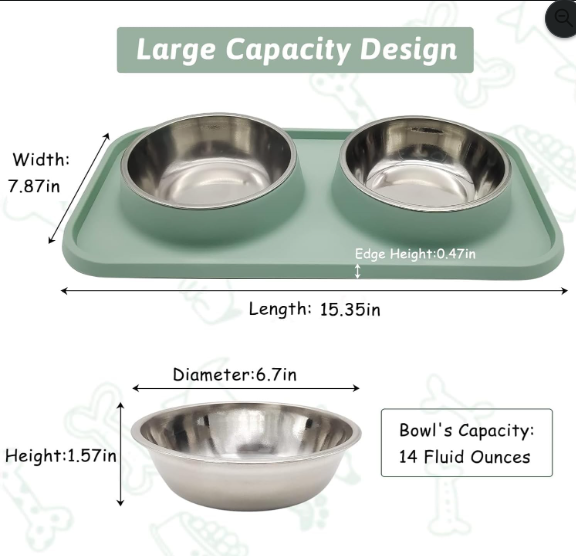 Stainless Steel Double Pet Bowl Set