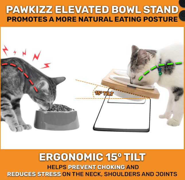 Elevated Ceramic Pet Bowl Stand – Tilted Feeding Station for Cats & Small Dogs