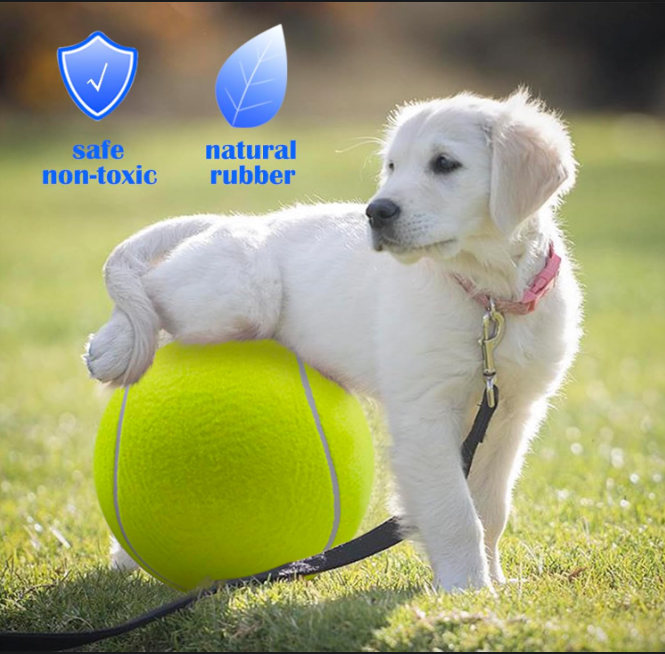 Giant Tennis Ball Toy for Dogs