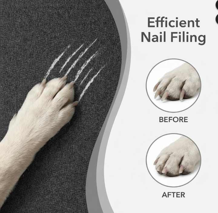 Interactive Dog Nail Scratch Board with Treat Box