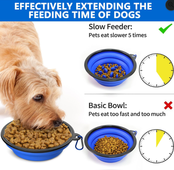 Collapsible Slow Feeder Travel Dog Bowl