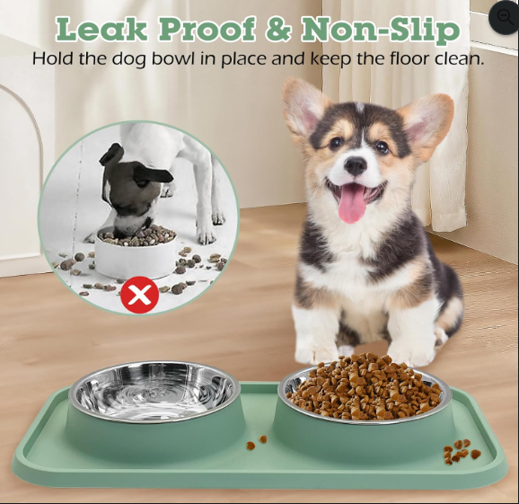 Stainless Steel Double Pet Bowl Set
