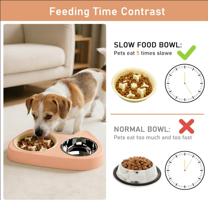 Slow Feeder Dog Bowl Set with Stainless Steel Bowl