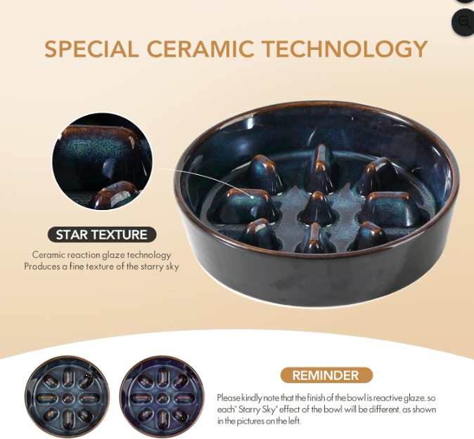 Ceramic Slow Feeder Bowl for Dogs & Cats