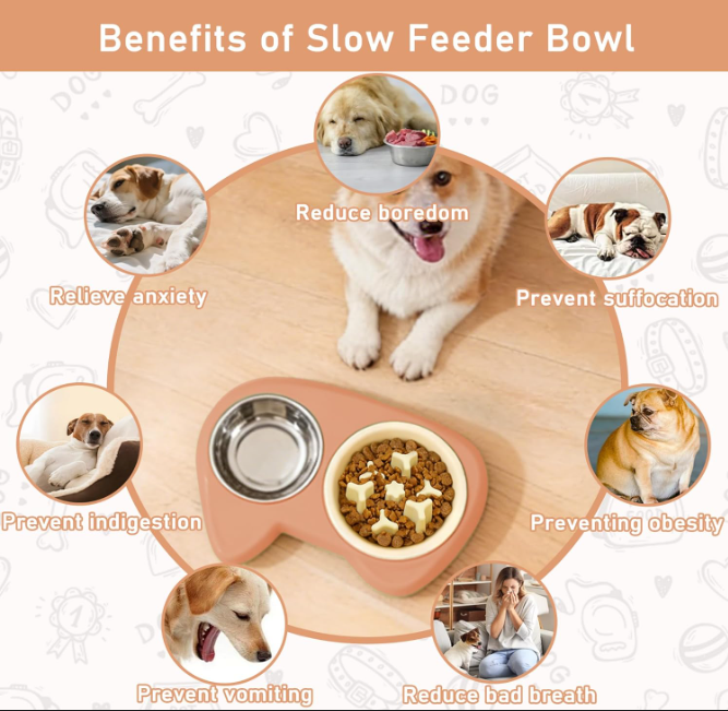 Slow Feeder Dog Bowl Set with Stainless Steel Bowl