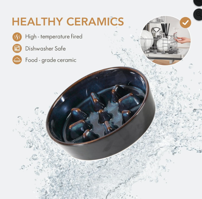 Ceramic Slow Feeder Bowl for Dogs & Cats