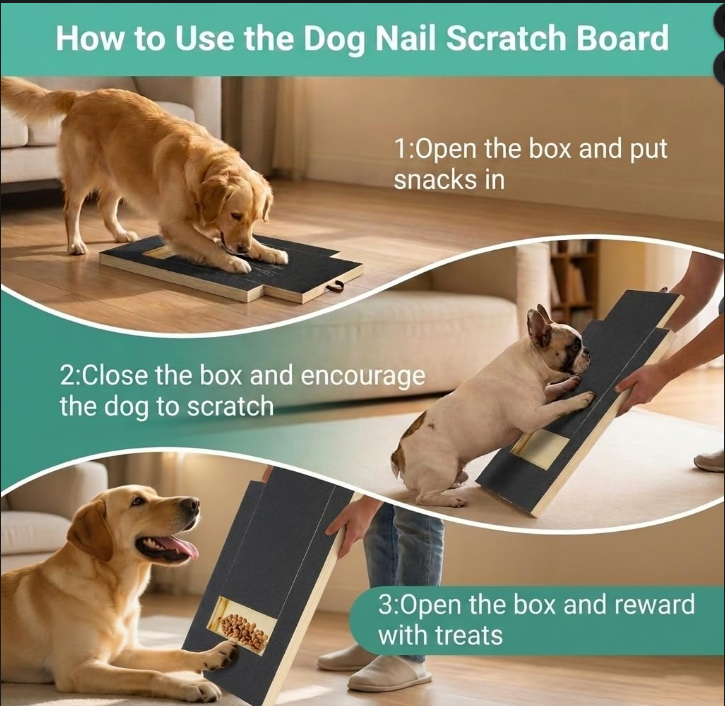 Interactive Dog Nail Scratch Board with Treat Box