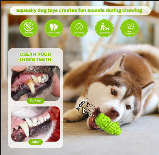 Durable Dog Chew Toy for Aggressive Chewers