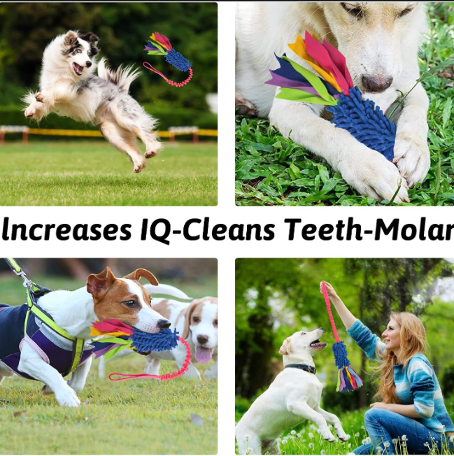 Interactive Tug Rope Dog Toy for Aggressive Chewers