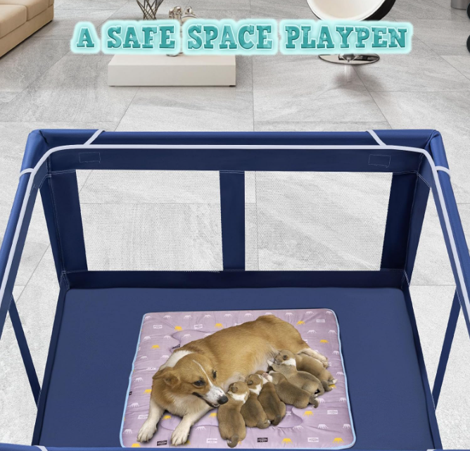 Portable Indoor Puppy Playpen