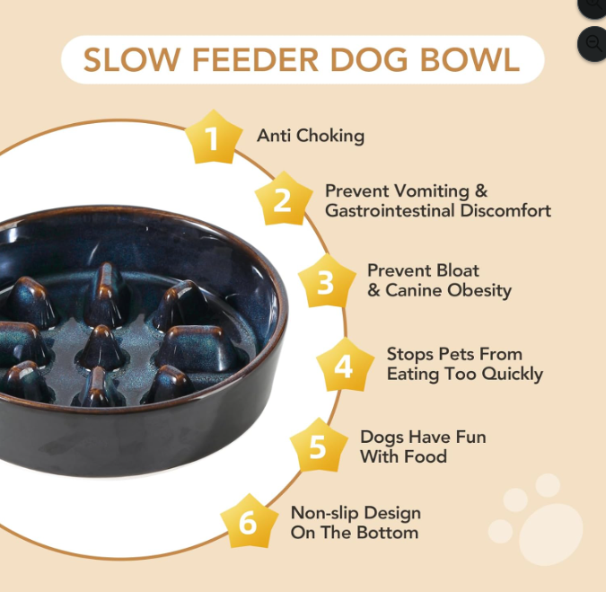 Ceramic Slow Feeder Bowl for Dogs & Cats