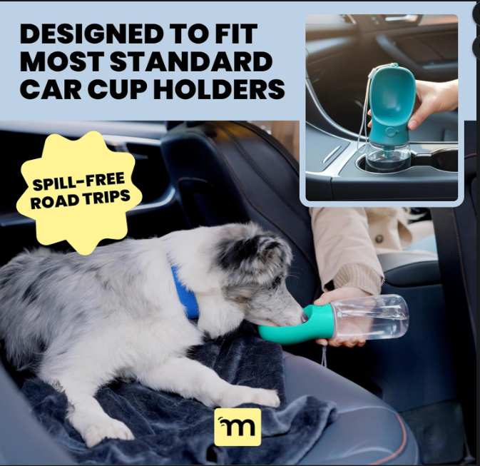 Portable Dog Water Bottle for Travel