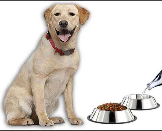 Stainless Steel Dog Bowl with Non-Slip Rubber Base