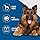 Professional Undercoat Deshedding Tool for Heavy Shedding Dogs