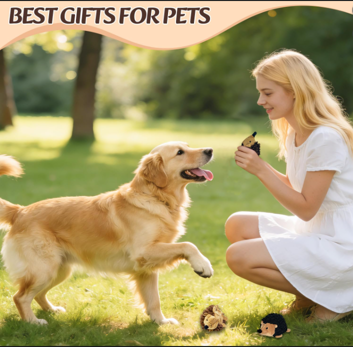 2-in-1 Plush Hedgehog Dog Toy Set – 5 Pack