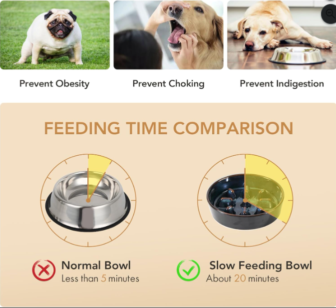 Ceramic Slow Feeder Bowl for Dogs & Cats
