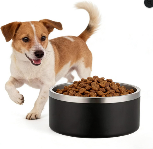 Stainless Steel Pet Bowl with Non-Slip Base