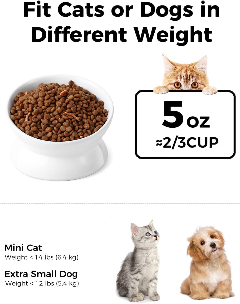 Ceramic Tilted Elevated Pet Bowl – Ergonomic & Easy Feeding Design