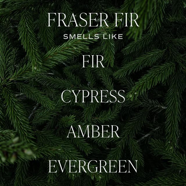 Sweet Water Decor Fraser Fir Candle - Evergreen, Fir, Cedar, and Cypress Winter Holiday Scented Soy Christmas Candles for Home - 12oz Sandstone Jar, 50+ Hour Burn Time, Made in The USA