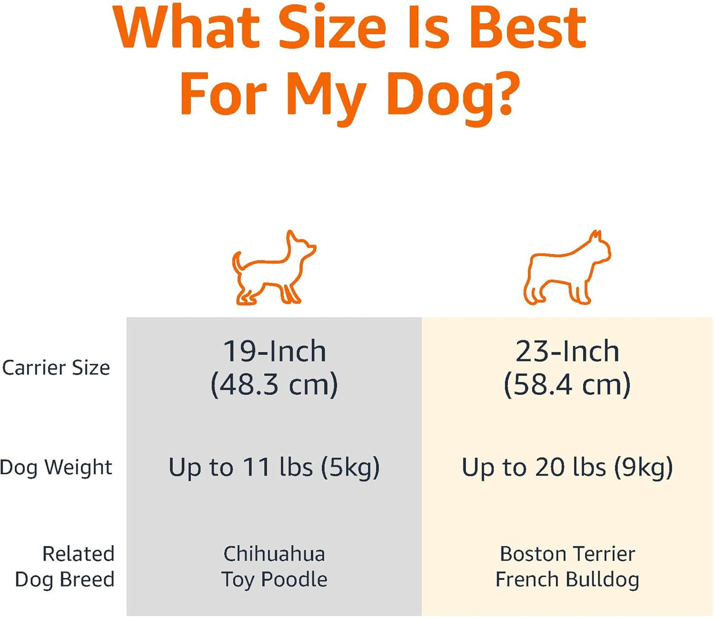 Hard-Sided Pet Travel Carrier for Cats & Small Dogs