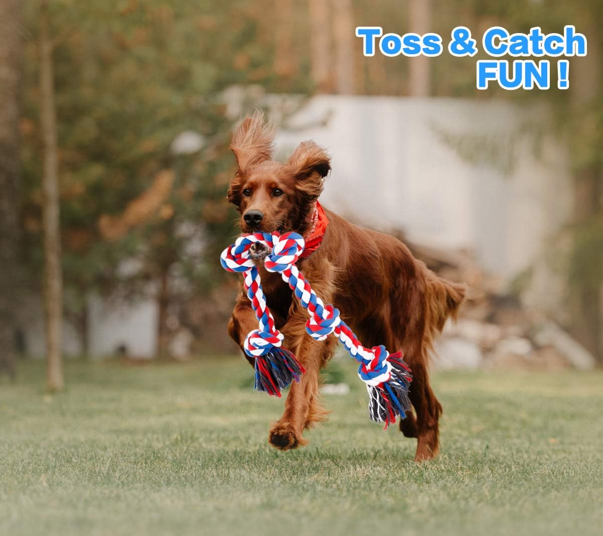 Heavy Duty Rope Tug Toy for Dogs – Durable Chew & Training Toy