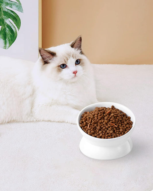 Ceramic Tilted Elevated Pet Bowl – Ergonomic & Easy Feeding Design