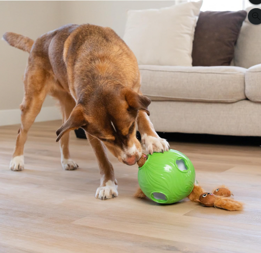 Interactive Snuffle Treat Puzzle Ball for Dogs