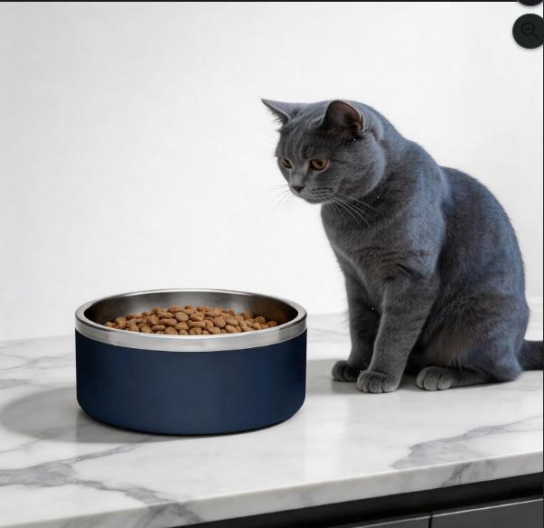 Stainless Steel Pet Bowl with Non-Slip Base for Cats & Dogs