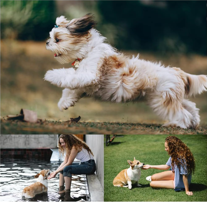 Soft Flying Disc Set for Dogs – 6 Pack Interactive Fetch Toys