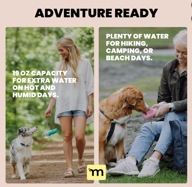 Portable Dog Water Bottle for Travel