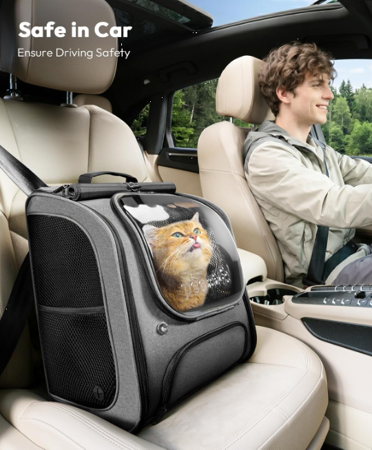 Portable Pet Bubble Backpack Carrier 🎒🐱
