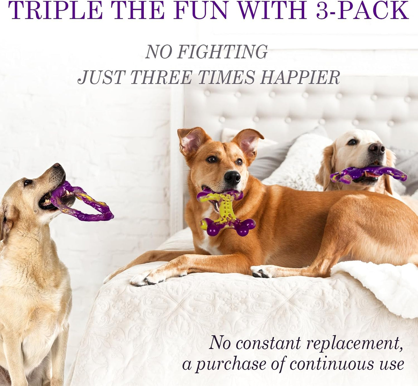 Tough Dog Toys for Aggressive Chewers – Durable Chew & Training Toy