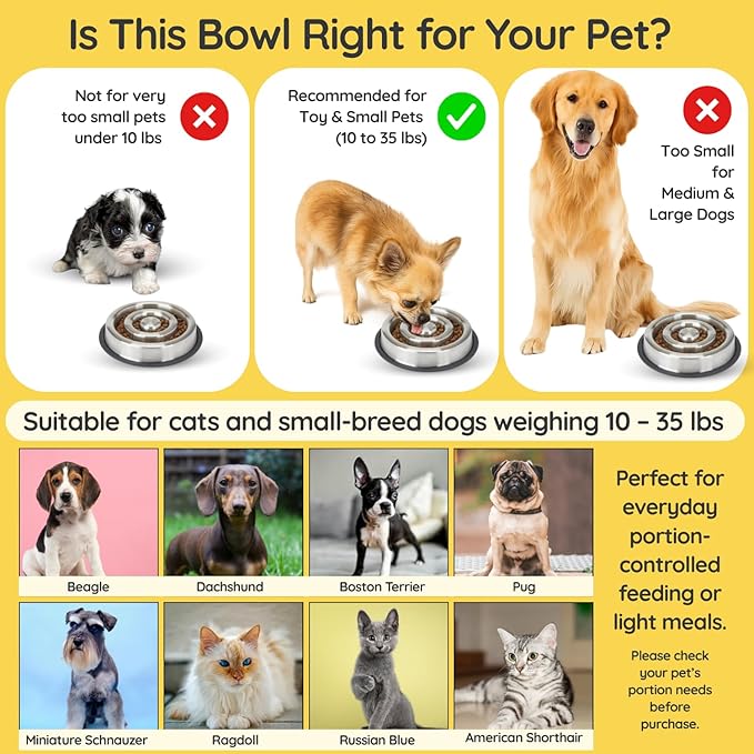 Stainless Steel Slow Feeder Dog Bowl