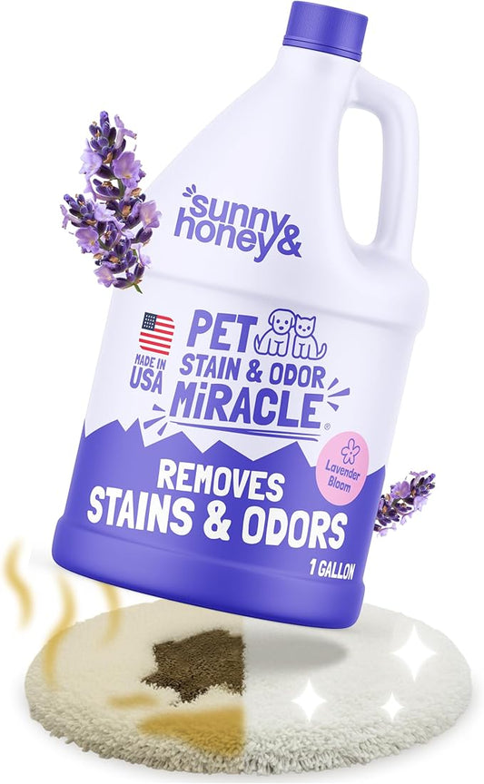 Sunny & Honey Pet Stain & Odor Miracle - 1 Gallon (128 Fl Oz), Light Lavender Scent - Carpet Cleaner - Enzyme Cleaner for Dog Urine & Cat Pee - Pet Stain Remover - Dog & Cat Urine Odor Eliminator