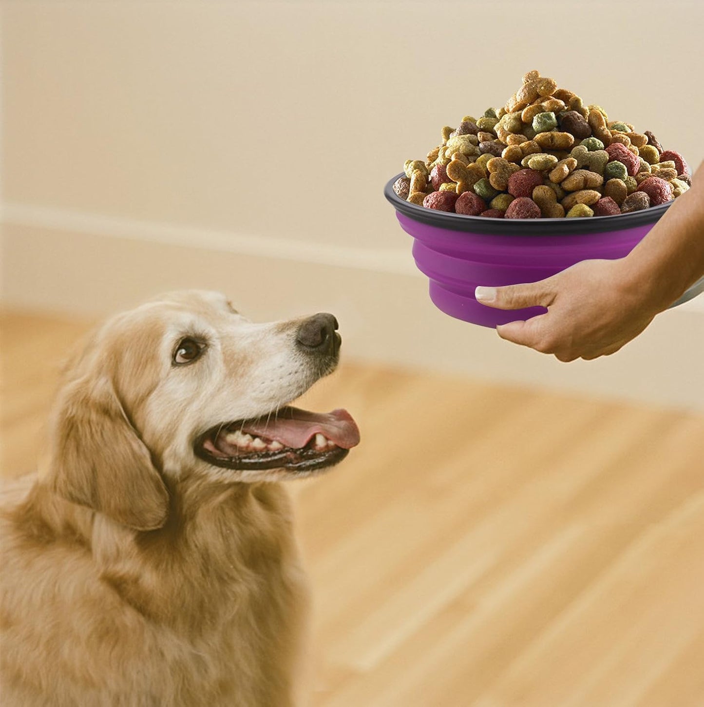 Collapsible Dog Travel Bowl (Portable & Foldable Water Bowl)
