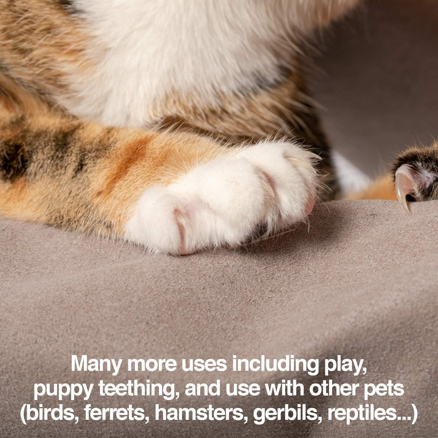 Protective Pet Grooming Glove for Dogs & Cats